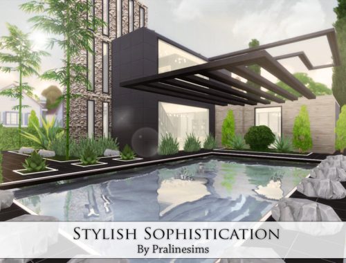 Stylish Sophistication