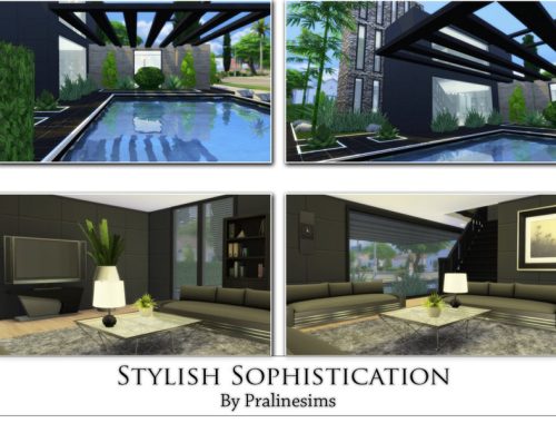 Stylish Sophistication