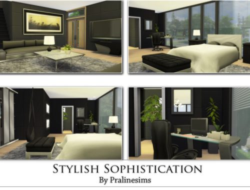 Stylish Sophistication