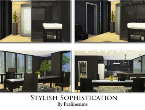 Stylish Sophistication