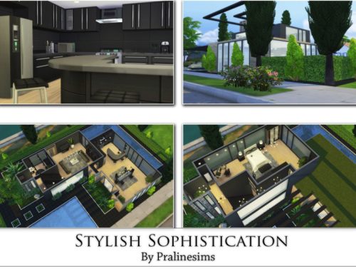 Stylish Sophistication