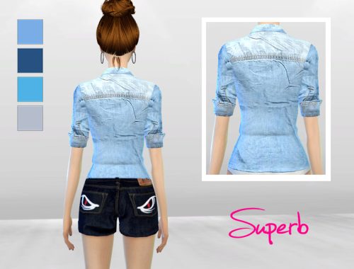 Icy Frill Denim Blouse