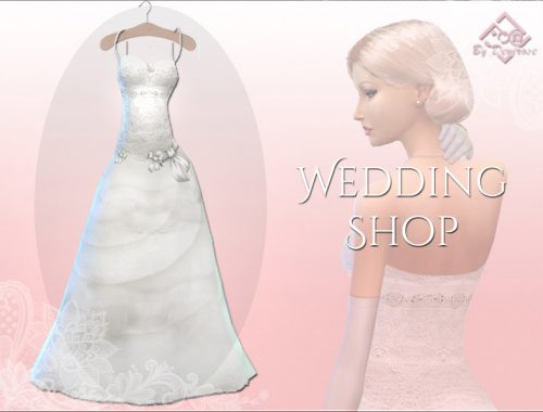 Wedding Dream Dress