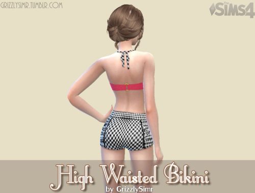 High Waisted Bikini