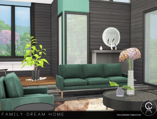 Family Dream Home