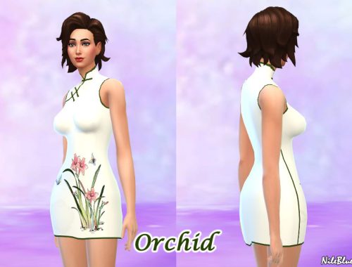 Chinese Style Short Dress Set