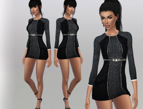 Belted Dress