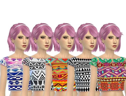 Aztec Printed Crop Top