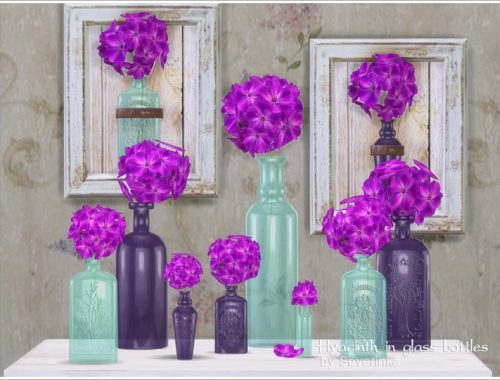 Hyacinth in glass bottles