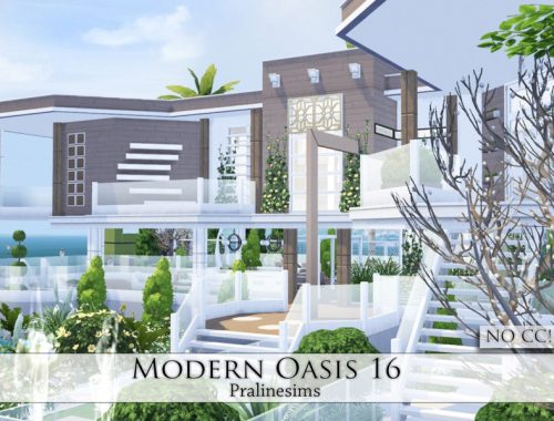 Modern Oasis 16