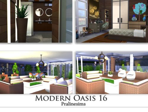 Modern Oasis 16