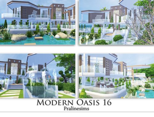 Modern Oasis 16
