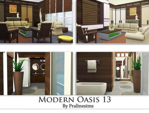 Modern Oasis 13