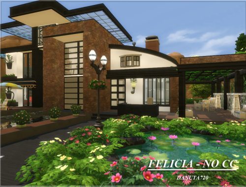 Felicia - No CC.
