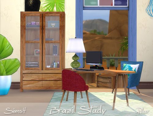 Brazil Study