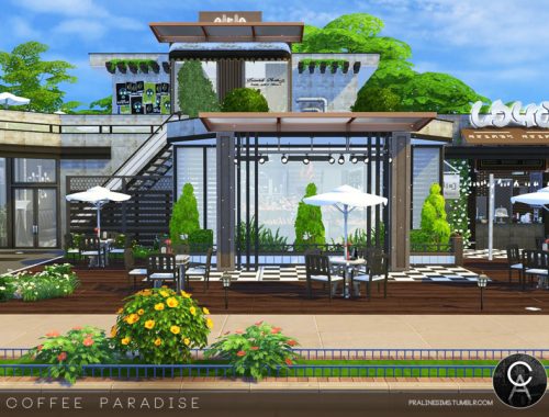 Coffee Paradise