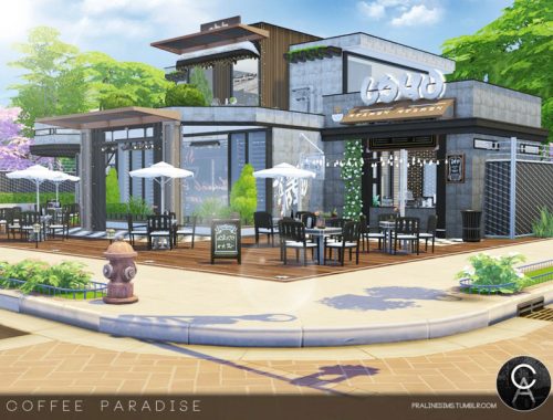 Coffee Paradise