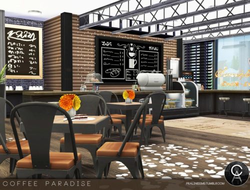 Coffee Paradise