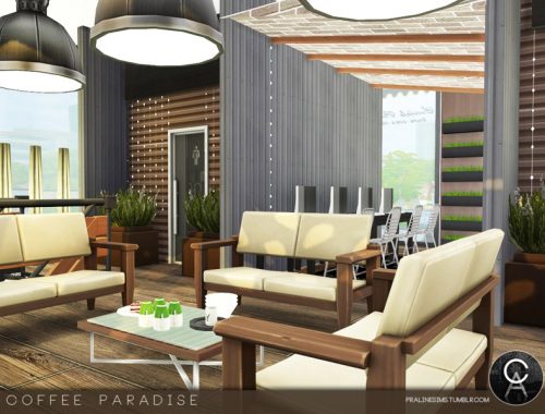 Coffee Paradise
