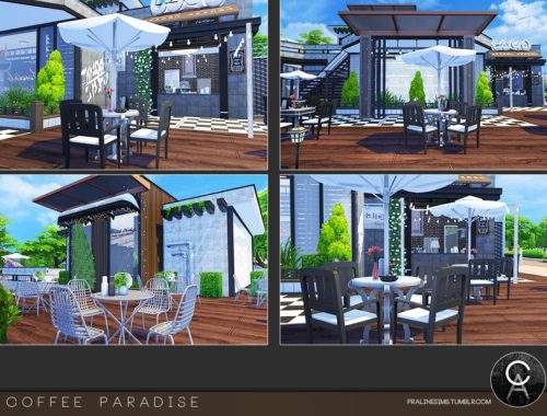 Coffee Paradise
