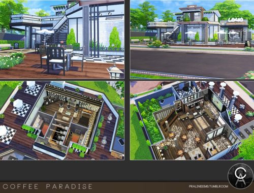 Coffee Paradise