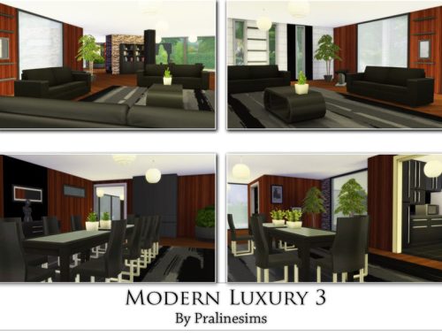 Modern Luxury 3