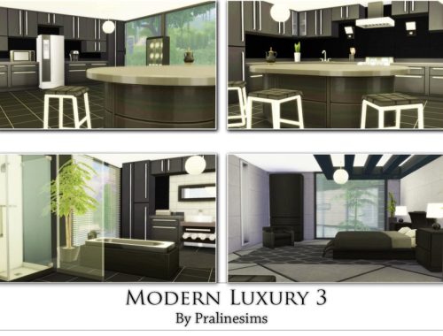 Modern Luxury 3