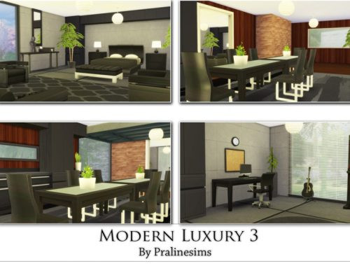 Modern Luxury 3