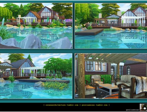 The Lake House
