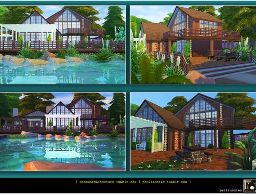 The Lake House