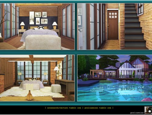 The Lake House