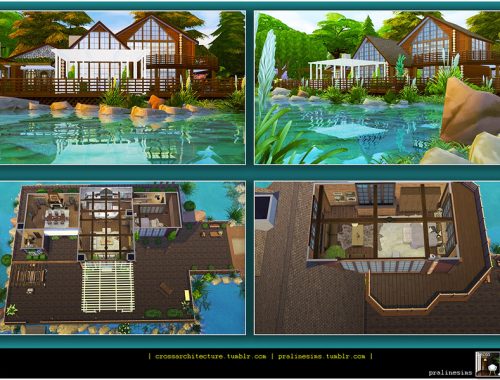 The Lake House