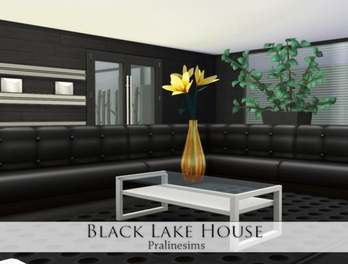 Black Lake House