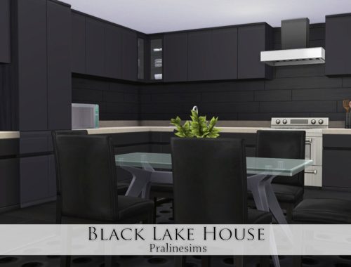 Black Lake House
