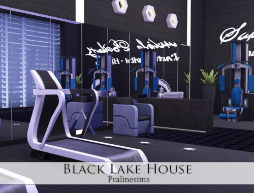 Black Lake House