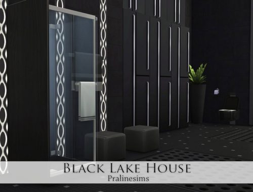 Black Lake House