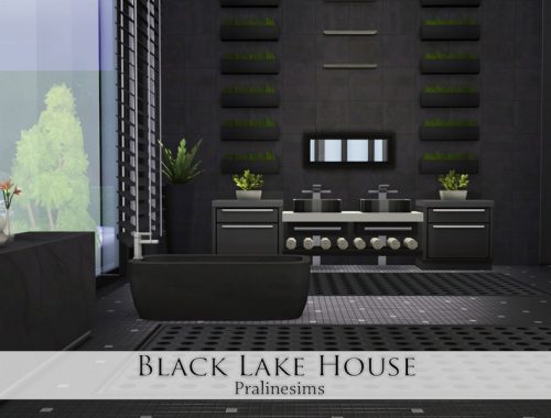 Black Lake House