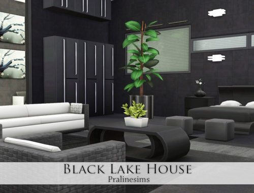 Black Lake House