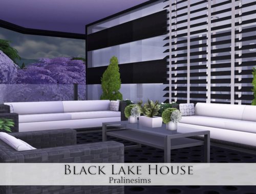 Black Lake House