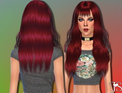 JavaSims- Gone Crazy Hairstyle