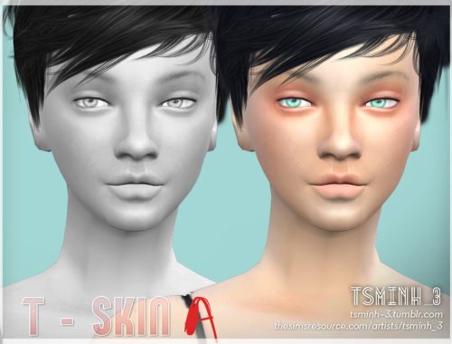 T - Skin [A]