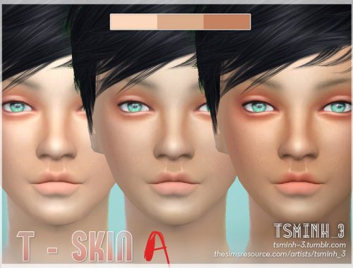 T - Skin [A]