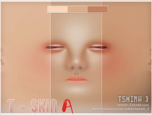 T - Skin [A]