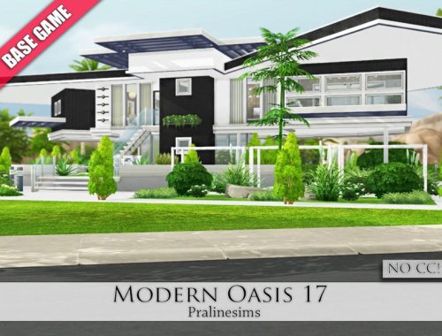 Modern Oasis 17