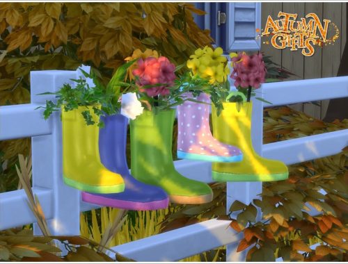 Autumn Garden