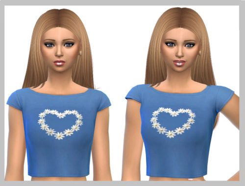 Daisy Crop Tops
