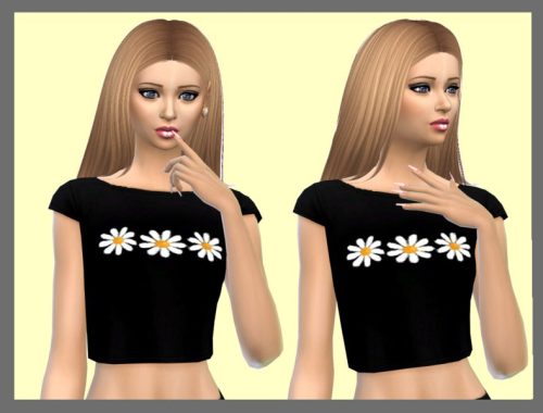 Daisy Crop Tops