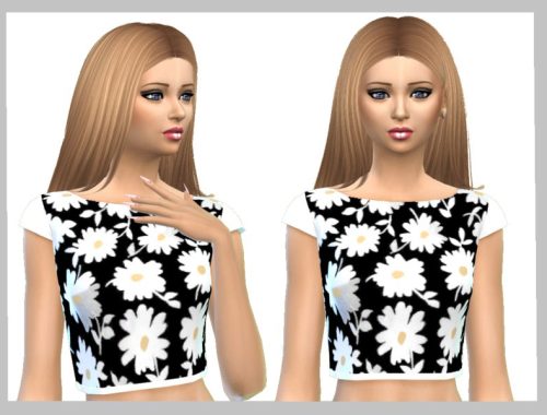 Daisy Crop Tops