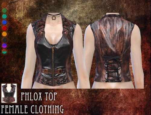 Phlox top - female clothing