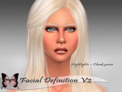 Facial Definition V2